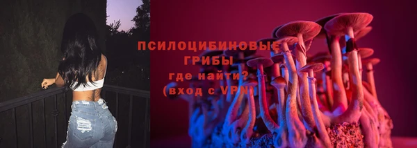 таблы Богданович