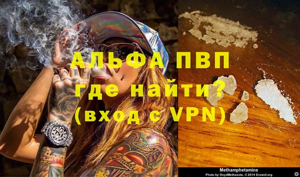 a pvp Белокуриха