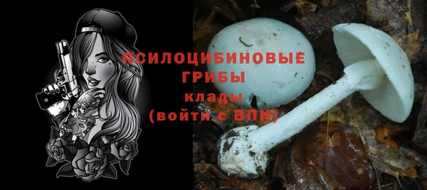 героин Богородицк