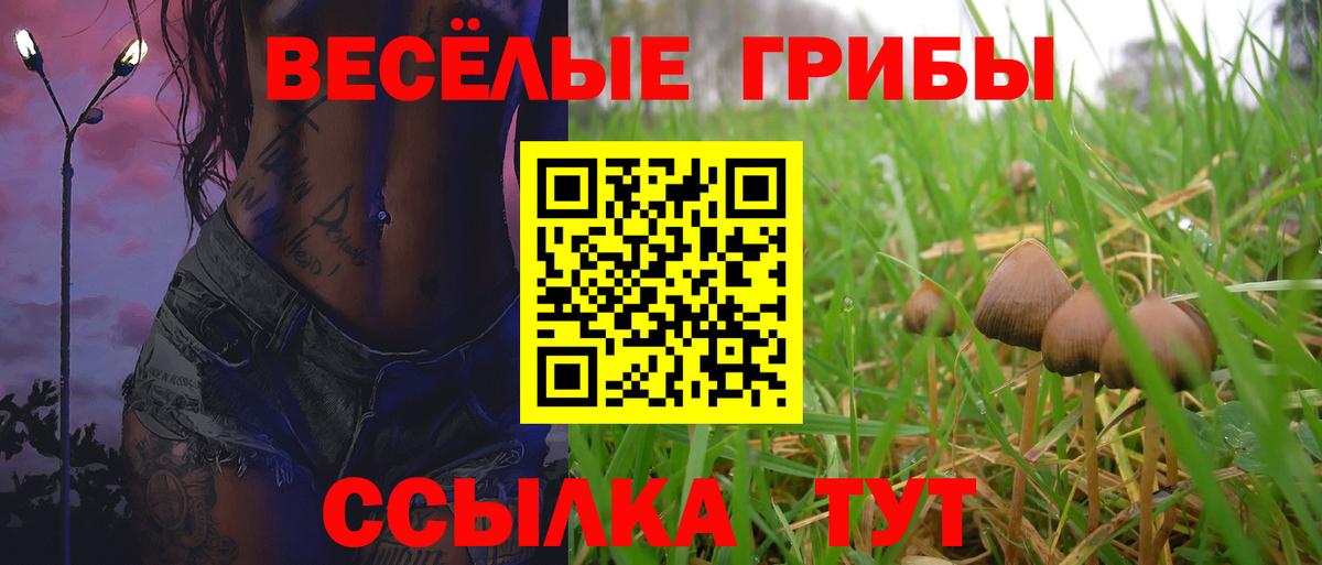 Галлюциногенные грибы ЛСД  Вход с VPN  Буйнакск 